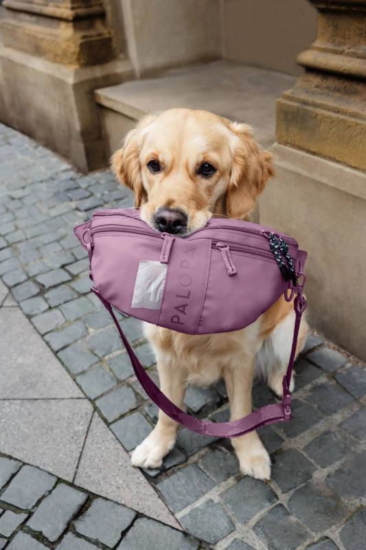 Поясна сумка-бананка для ласощів та аксесуарів собак Palopa Emma Ягідний