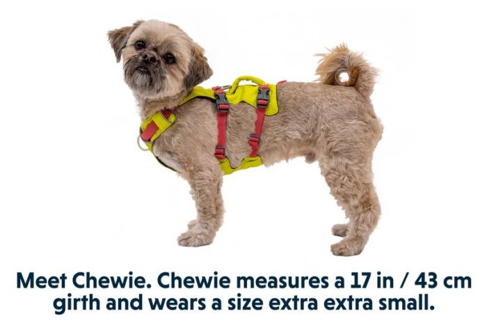 Легка шлейка для собак Ruffwear Flagline™ M 69-81 см Жовтий