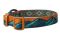 Нашийник для собак Trail quest collar RP signature edition Non-stop dogwear Бірюзовий/Дуб S