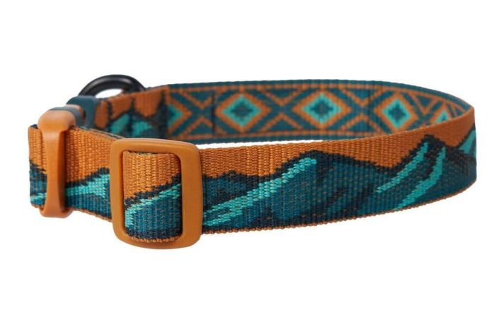 Нашийник для собак Trail quest collar RP signature edition Non-stop dogwear Бірюзовий/Дуб S