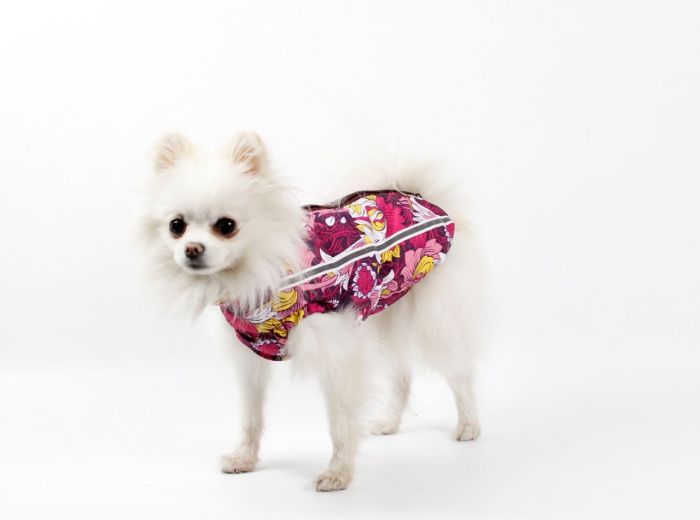 Набір Фрезія жилет силікон + комбінезон велсофт бордо (дівчинка) М