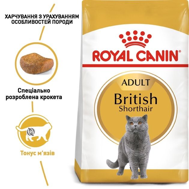 АКЦІЯ Royal Canin British Shorthair сухий корм для котів породи британська короткошерста 4 кг + наповнювач Catsan 5л 