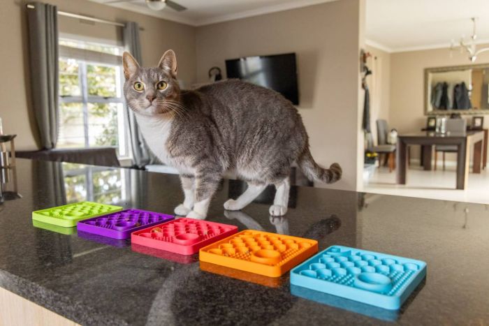 Лизальний килимок антистрес для кішок LickiMatster Green