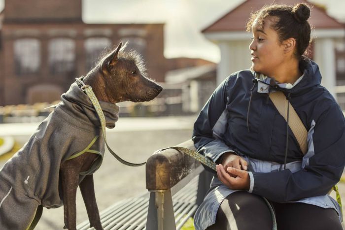 Флісова куртка для собак Hurtta Razzle-Dazzle Midlayer 30 Сірий