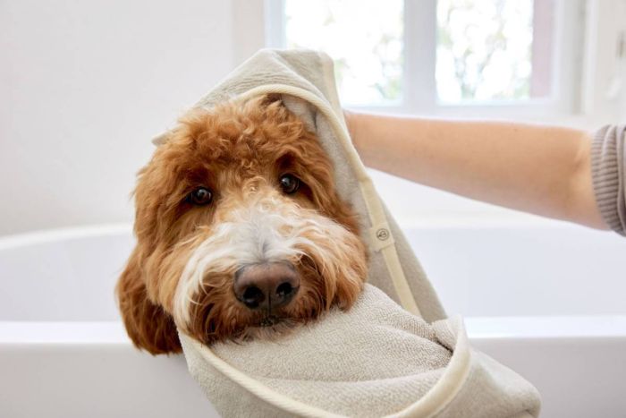 Рушник для собак Palopa Kosy Бежевий M-L