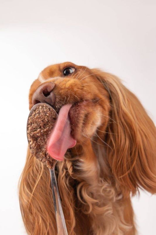 Натуральний вологий корм для собак Cooka's Cookies 92% Оленина з овочами та фруктами 400 г