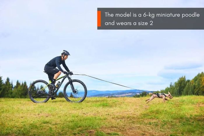 Шлейка для собак Freemotion harness Non-stop dogwear Чорний 6