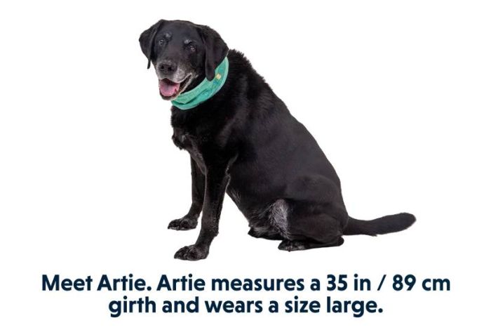 Охолоджуючий бафф на шию собаці Ruffwear Swamp Cooler™ L Бірюзово-фіолетовий