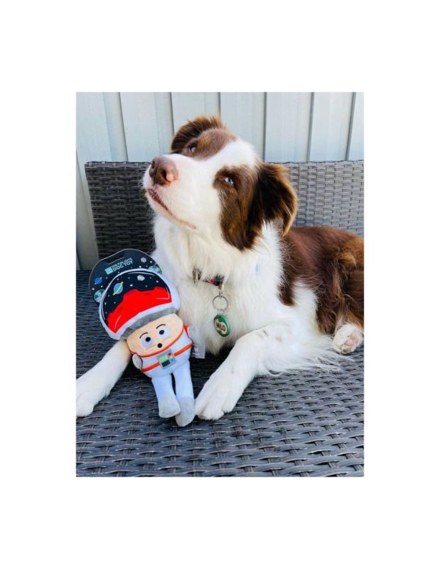 М'яка іграшка для собак FuzzYard Космо-грибочок