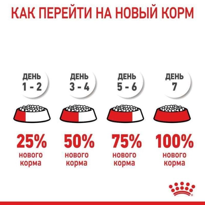 АКЦІЯ Royal Canin Kitten для кошенят на кожен день (до 12 місяців) набір корму 2 кг + 4 паучі 