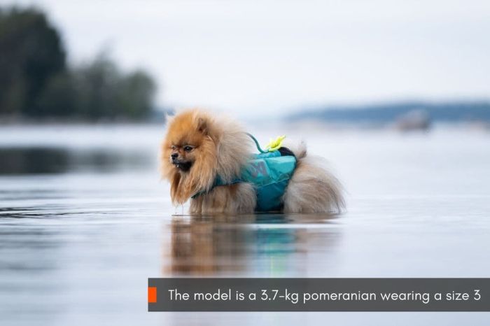 Рятувальний жилет для собак Protector life jacket Non-stop dogwear Бірюзовий 7