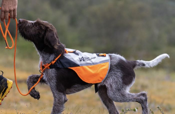 Жилет для собак Non-stop dogwear Protector cover 2.0 Білий/Чорний/Помаранчевий S