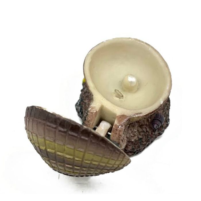 Декор для акваріума Ракушка мала на камені 55.55 см 208s  4 