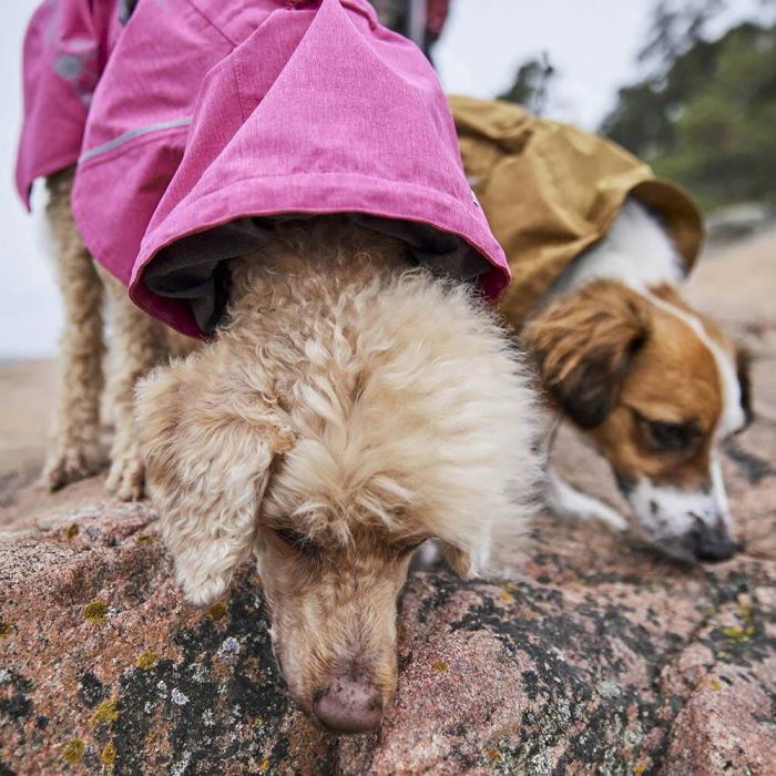 Дощовик для собак Hurtta Monsoon coat II ECO Рожевий 30