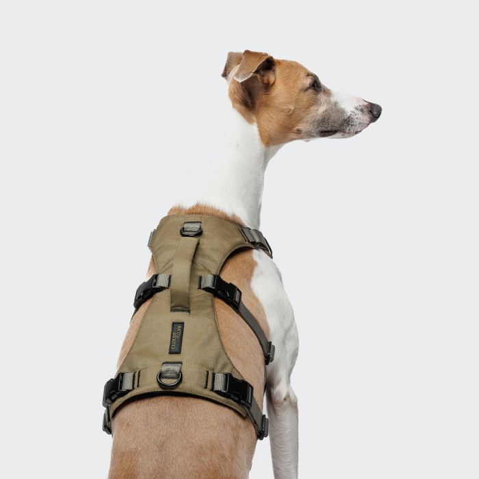 Y-подібна шлейка для собак Cloud7 Y-Safe-Harness AKTIV Сірий/Хаки M