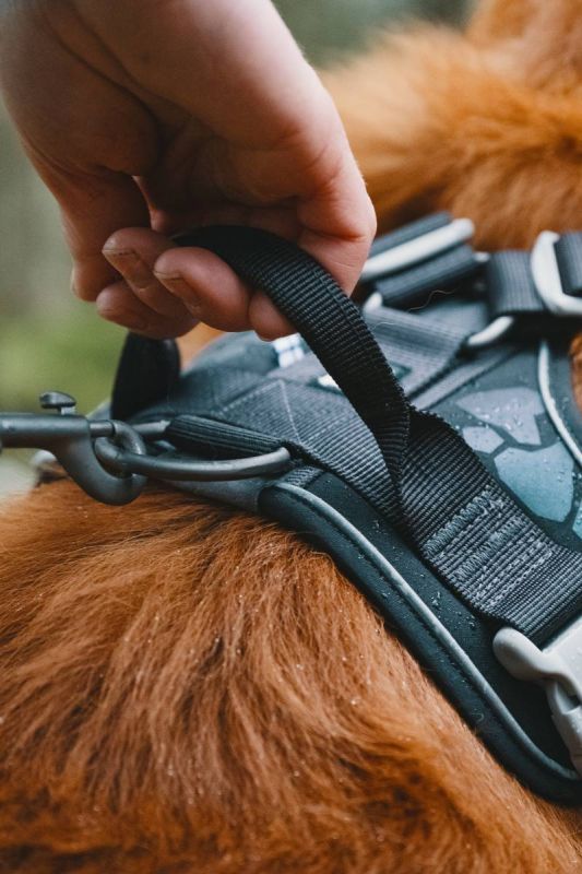 Шлейка для собак пом'якшена Hurtta Weekend Warrior 40-45 см Чорний