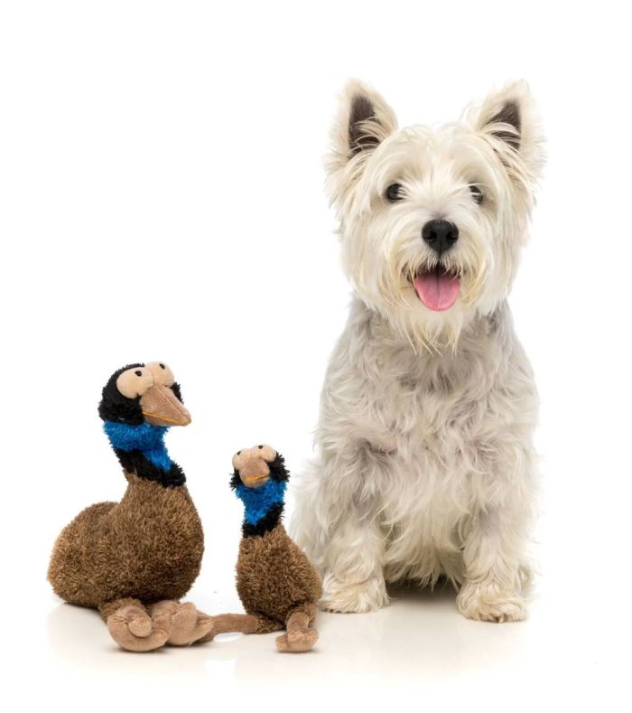 М'яка іграшка для собак FuzzYard Ему Оз L