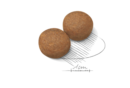 Королівський Ікло (Роял Канін) Максі дорослий 15 кг