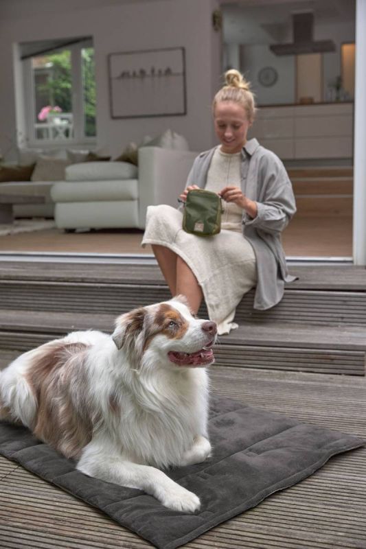 Складаний килим для собак Palopa Alma Сірий S