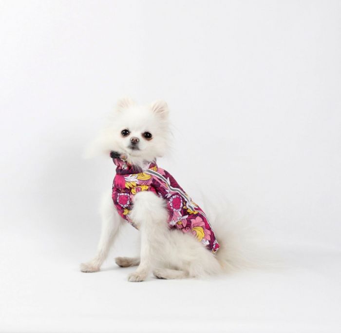 Набір Фрезія жилет силікон + комбінезон велсофт бордо (дівчинка) М