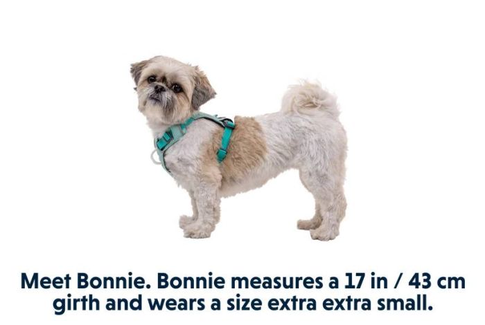 Полегшена шлейка для собак Ruffwear Hi & Light™ S 56-69 см Зелений