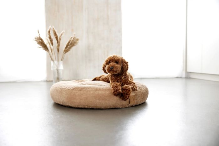 Лежак для собак Palopa Donut Fippa Бежевий M-L