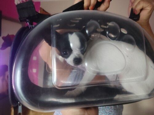 Сумка прозора 45х28х32 см Бірюза