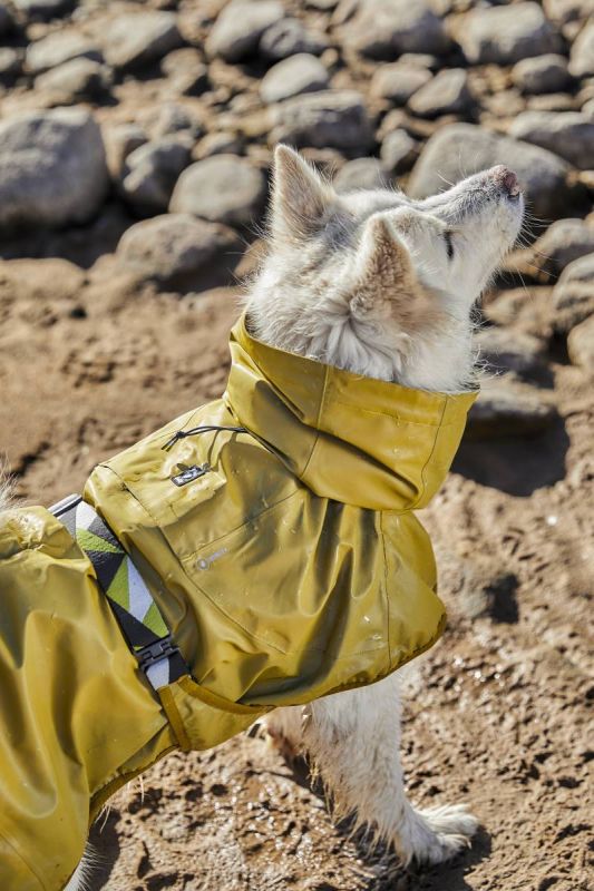Рефлекторний дощовик для собак Hurtta Mudventure Reflective Coat 25 Жовтий
