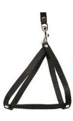 Шлея човник з повідцем капрон 30  30см довжина повідця 130см Зелений