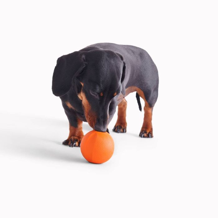 Іграшка м'ячик з отвором для ласощів для собак Beco Pets Fetch Ball Помаранчевий