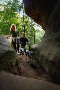 Полегшена шлейка для собак Ruffwear Hi & Light™ S 56-69 см Малиновий