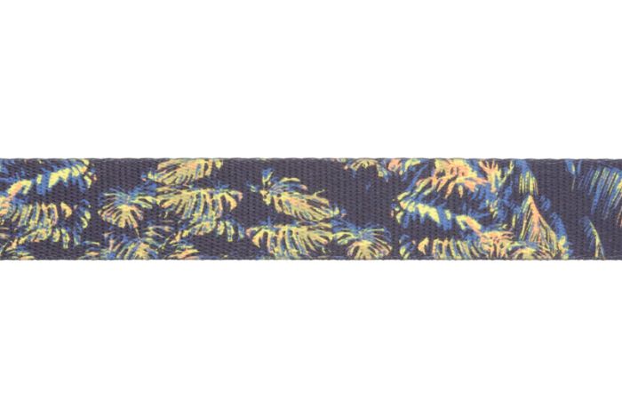 Повсякденний нашийник для собак Ruffwear Front Range™ 28-36 см Синій з зеленим