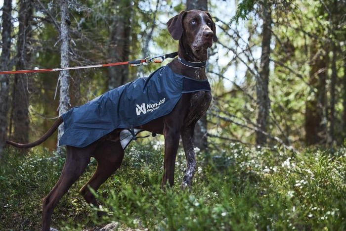 Куртка для собак Trail light Non-stop dogwear Сірий 70