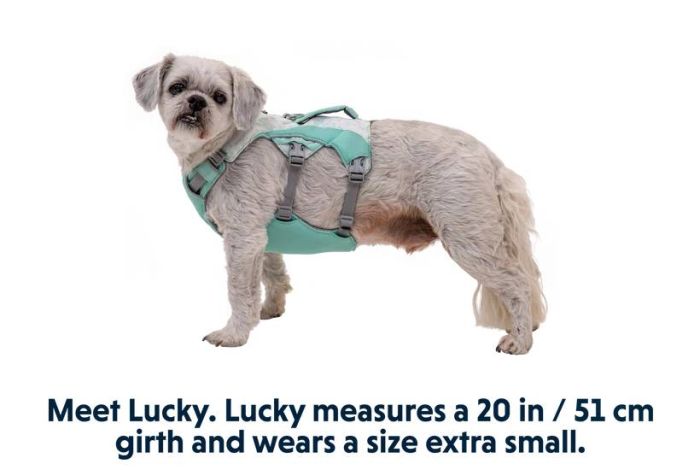 Охолоджувальна шлейка для собак Ruffwear Swamp Cooler™ L/XL 81-107 см Зелений