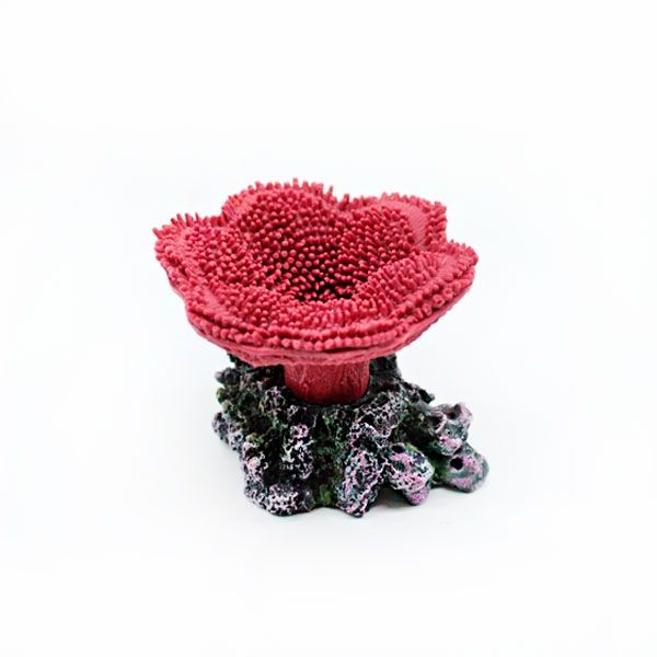 Корал-поліп рожевий, 8х8х7 см 