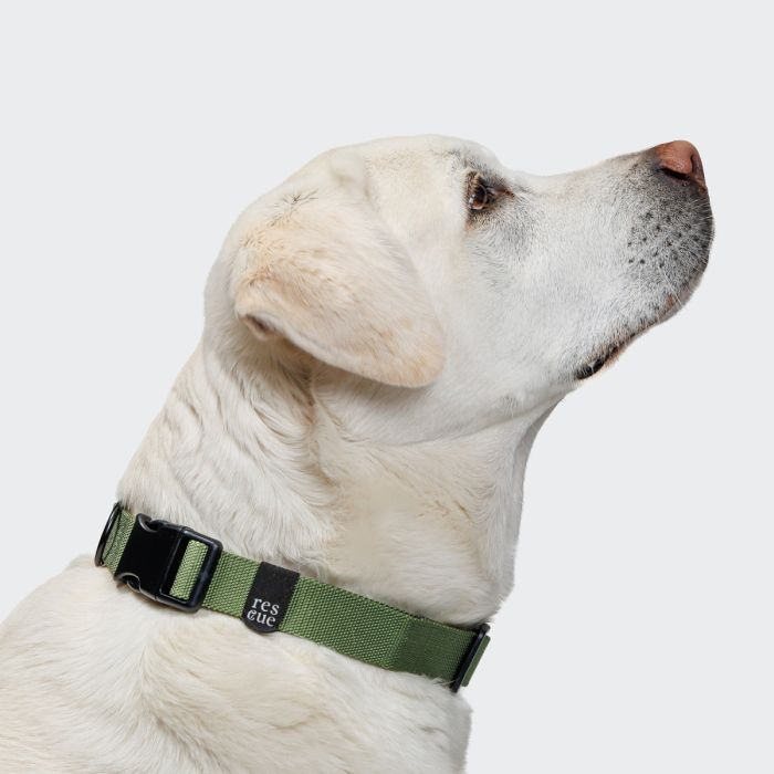 Повсякденний нашийник для собак Cloud7 Rescue Basic Зелений XXS