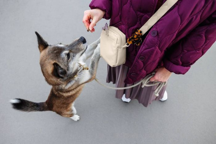 Сумка для ласощів і аксесуарів собак Palopa Greta L Кремовий