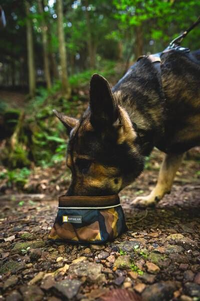 Складна миска для собак Ruffwear Quencher™ M Сіро-коричневий