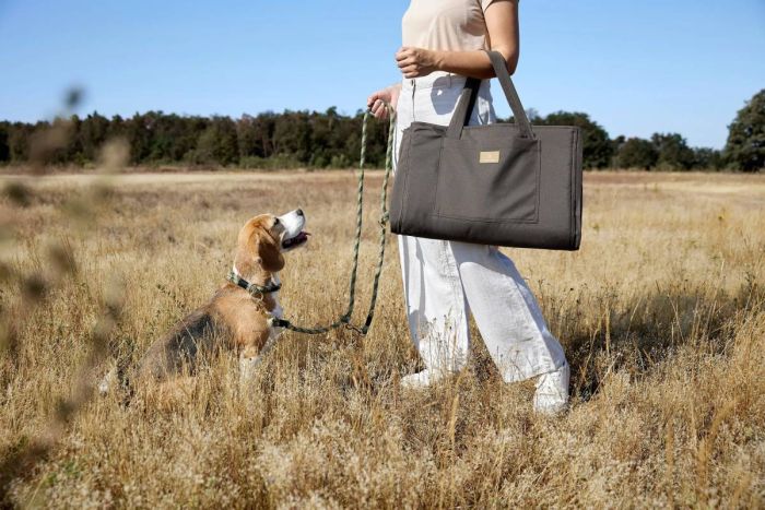 Сумка-килим для собак Palopa Nobo Сірий