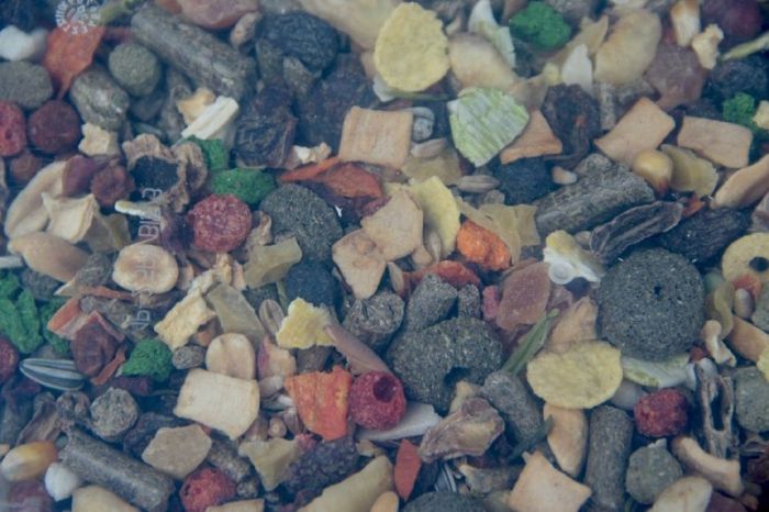 Lolo pets Корм для хомяків і кроликів овоче-Фруктовий мікс 1,6 кг 71063 