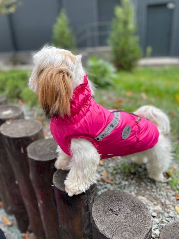 Класика жилет для собак дівчаток на силіконі M1