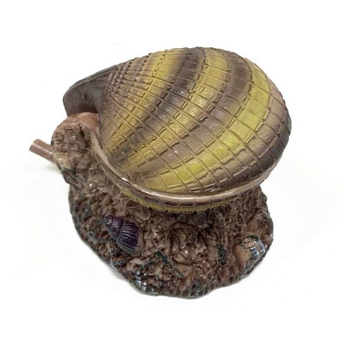 Декор для акваріума Ракушка мала на камені 55.55 см 208s  4 