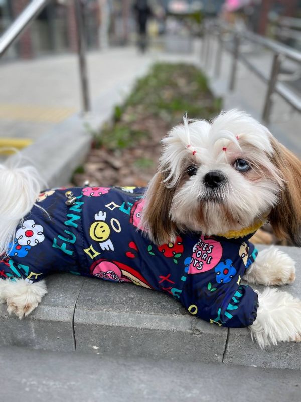 Ляля комбінезон на овчині без силікону для собак дівчаток S2 пинчер