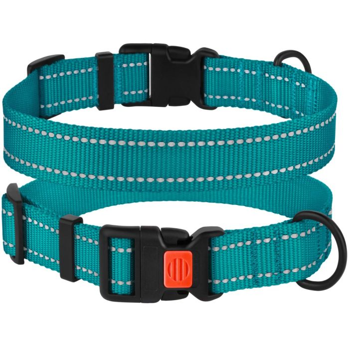Ошейник для собак BronzeDog бирюза пластиковий фастекс 1225 50Т 16мм( 25-33см)