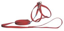 Шлея вісімка з повідцем капрон 20-40см, 32-40см довжина повідця 130см Червоний