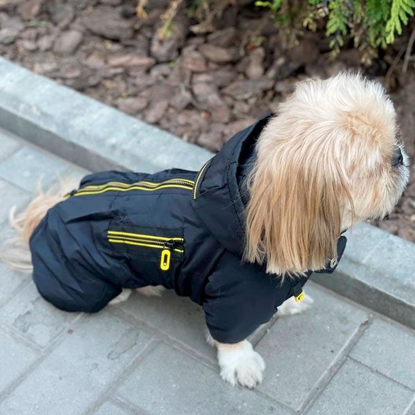 Комбінезон Блейд велсофт (хлопчик) S2