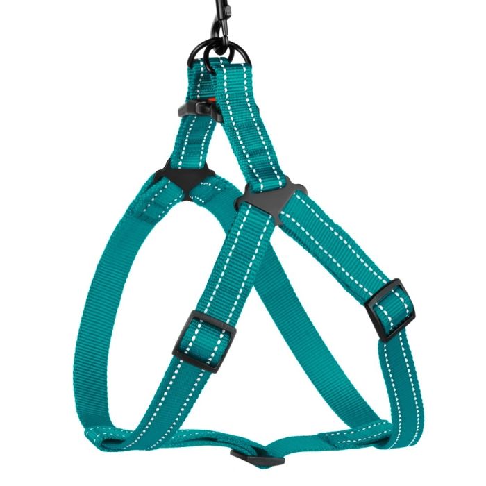 Шлея для собак BronzeDog Бірюза пластиковий фастекс 1225 70Т 16мм (40-53см)