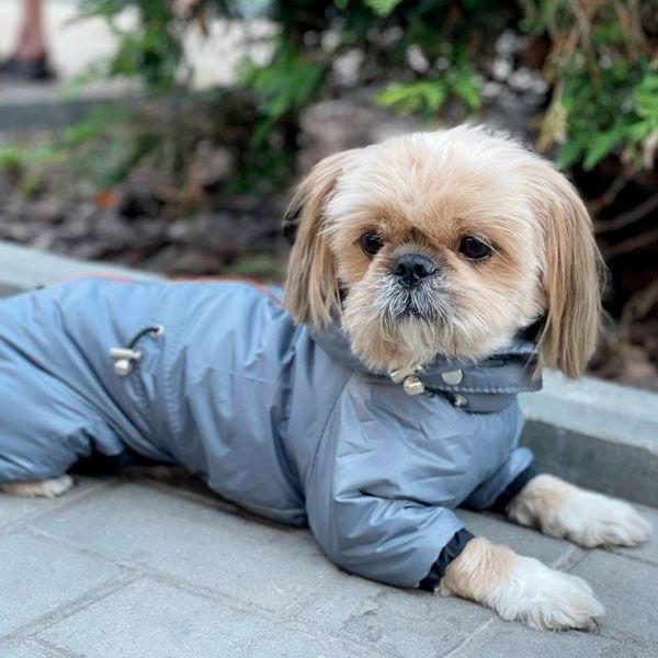 Комбінезон Барс велсофт (хлопчик) М1