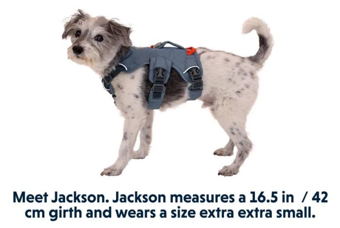 Підтримуюча шлейка для службових собак Ruffwear Web Master™ L/XL 81-107 см Синій