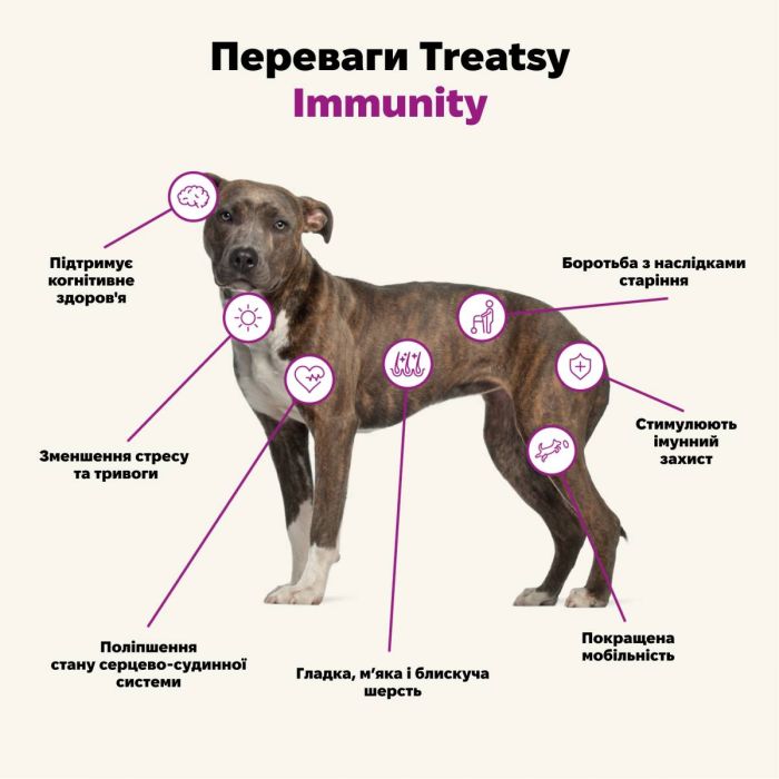 Функціональна олія для імунітету собак і кішок Treatsy Immunity 250 мл
